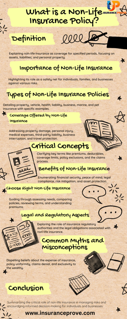 What is a Non-Life Insurance Policy? infographic
