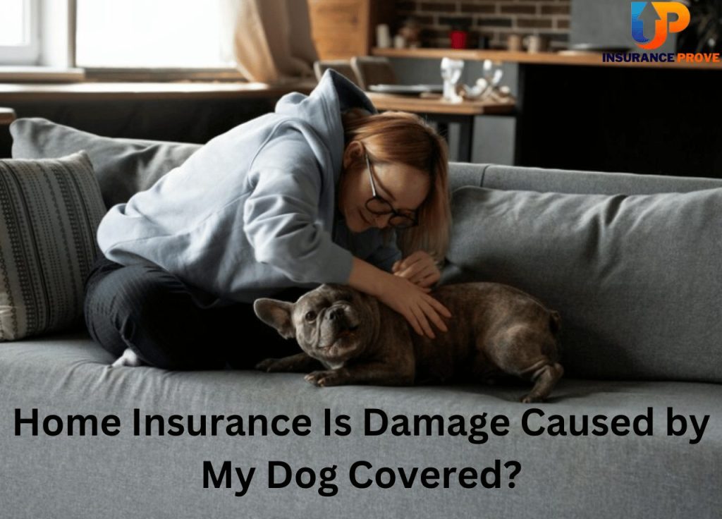 Home Insurance Is Damage Caused by My Dog Covered?