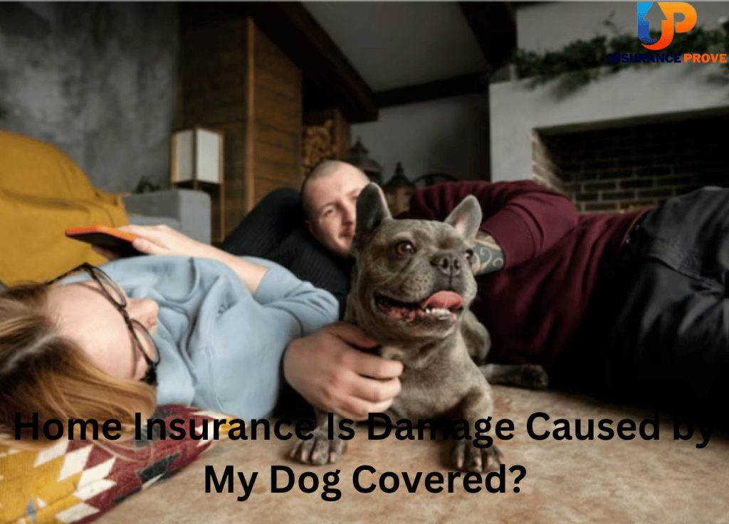 Home Insurance Is Damage Caused by My Dog Covered